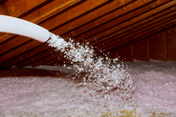 Best Residential Insulation in Lake City, AR